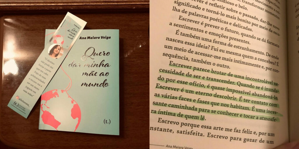 Resenha do livro "Quero dar minha mãe ao mundo"