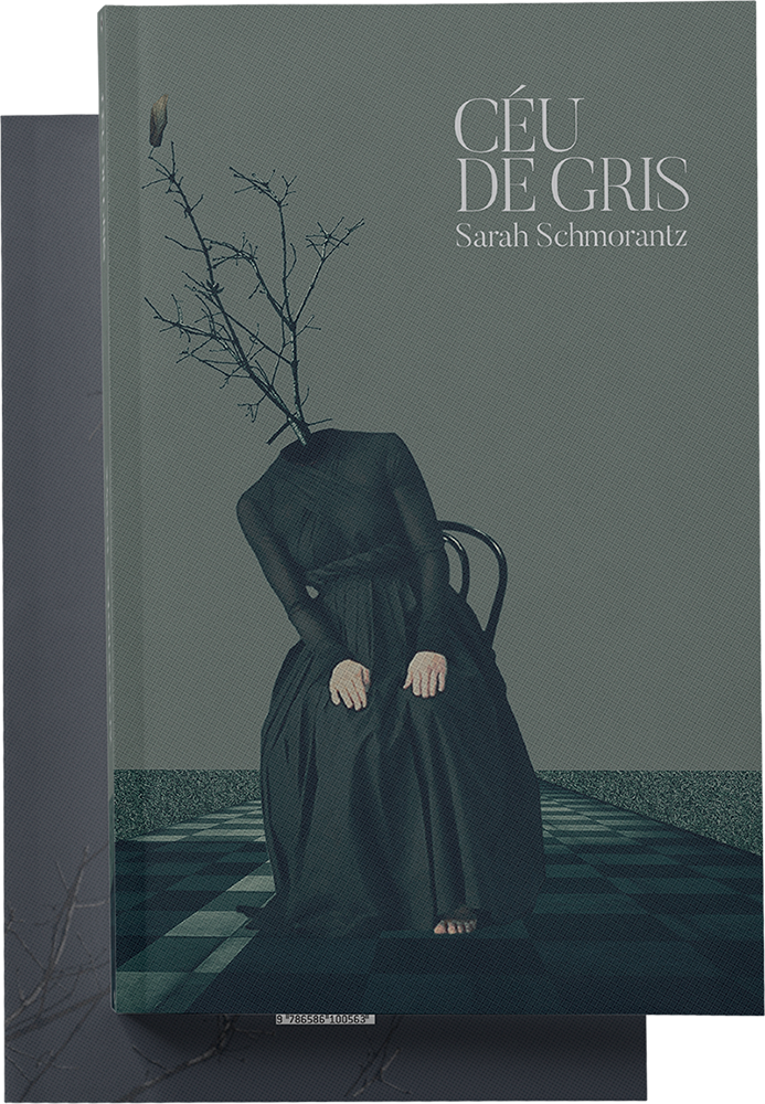 Capa do livro céu de gris, escrito por Sarah Schmorantz